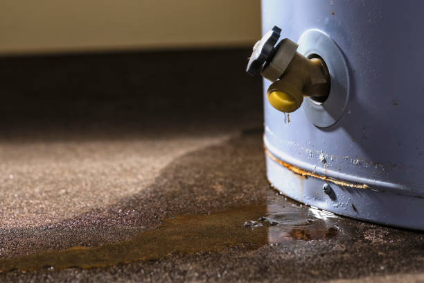 Best Emergency water damage restoration  in Guntown, MS