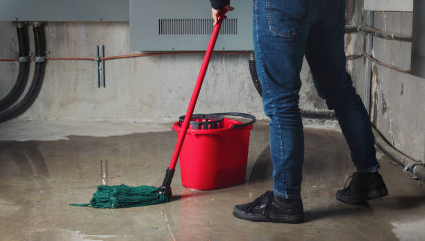 Water damage restoration mold remediation in Guntown, MS