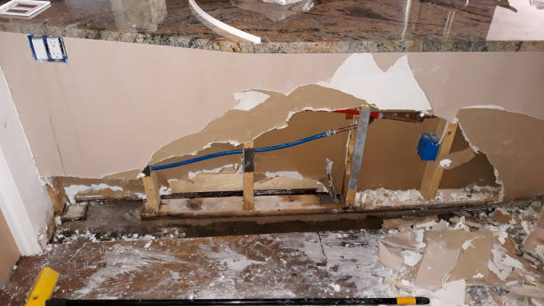 Best Water damage restoration mold remediation  in Guntown, MS