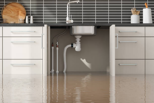 Best Flooded house restoration  in Guntown, MS