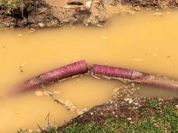 Guntown, MS Water damage restoration Company